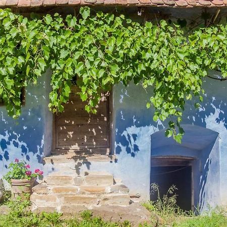 Experience Transylvania Viscri 63B المظهر الخارجي الصورة